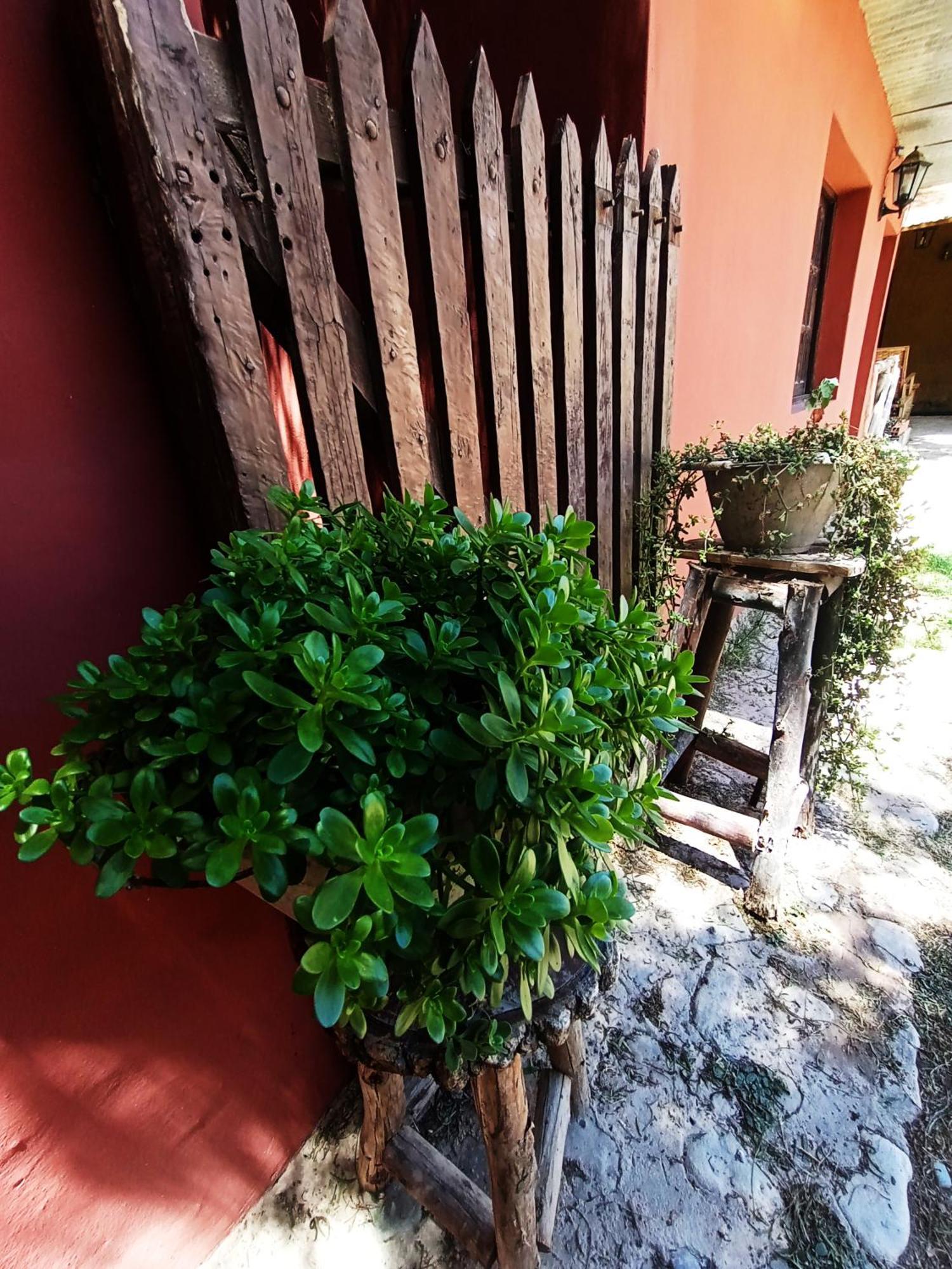 Hostal La Albahaca Тилькара Экстерьер фото